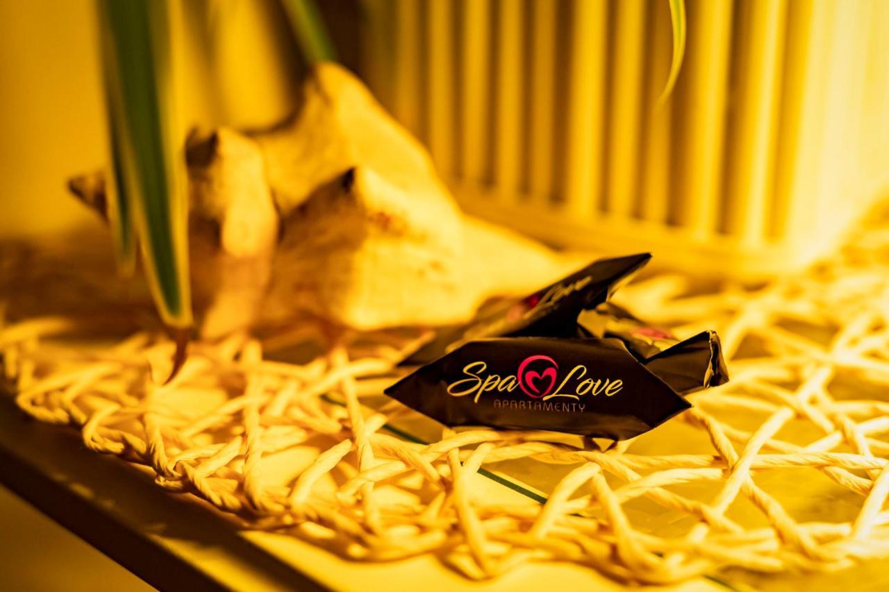 Spa Love Home Sauna Jacuzzi Romantyczny Dom Dla Pary Z Prywatnym Spa زيلونا غورا المظهر الخارجي الصورة
